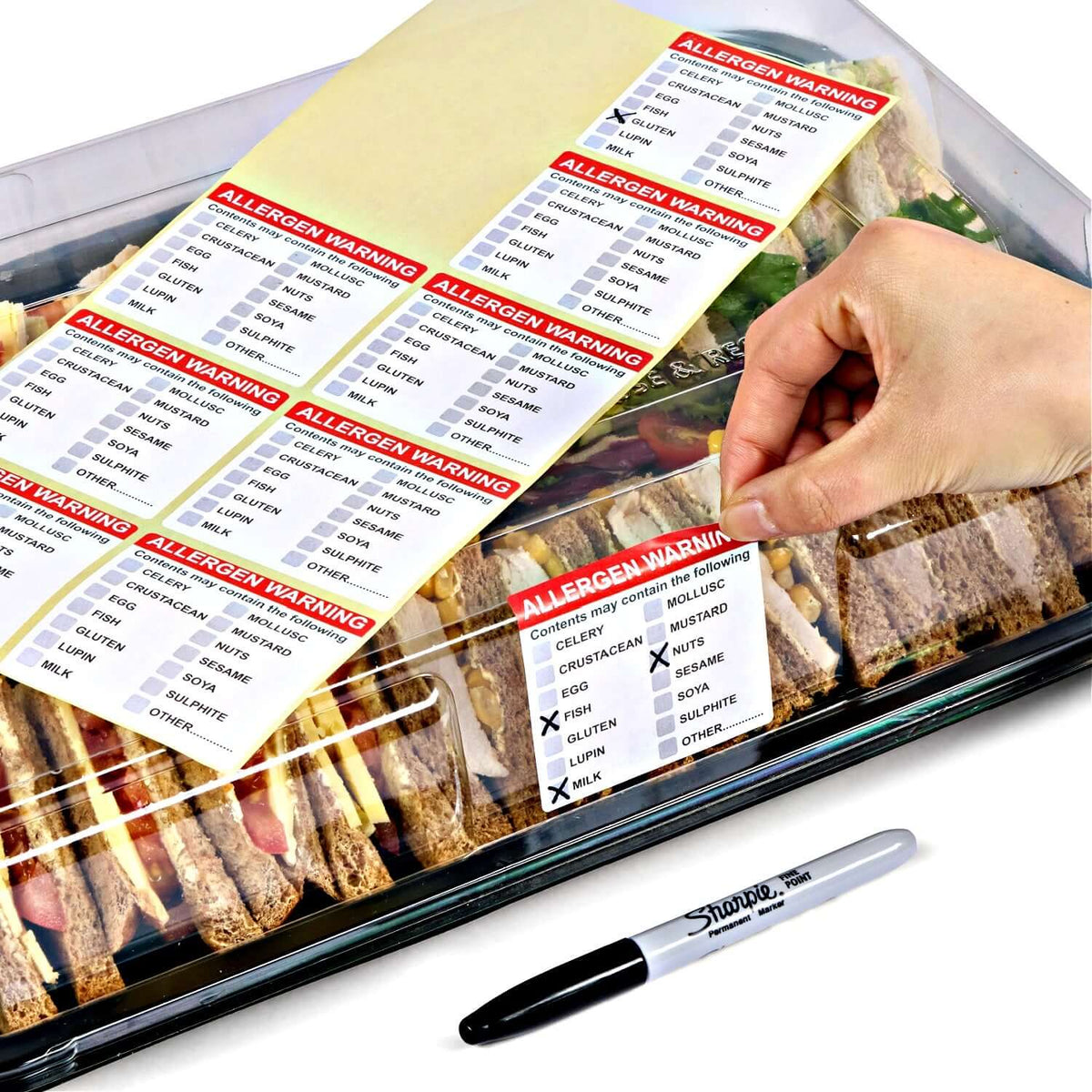 12 Medium Serving Platters + Lids PLUS 12 Adhesive Allergy Labels with allergens marked on sandwiches in clear container.