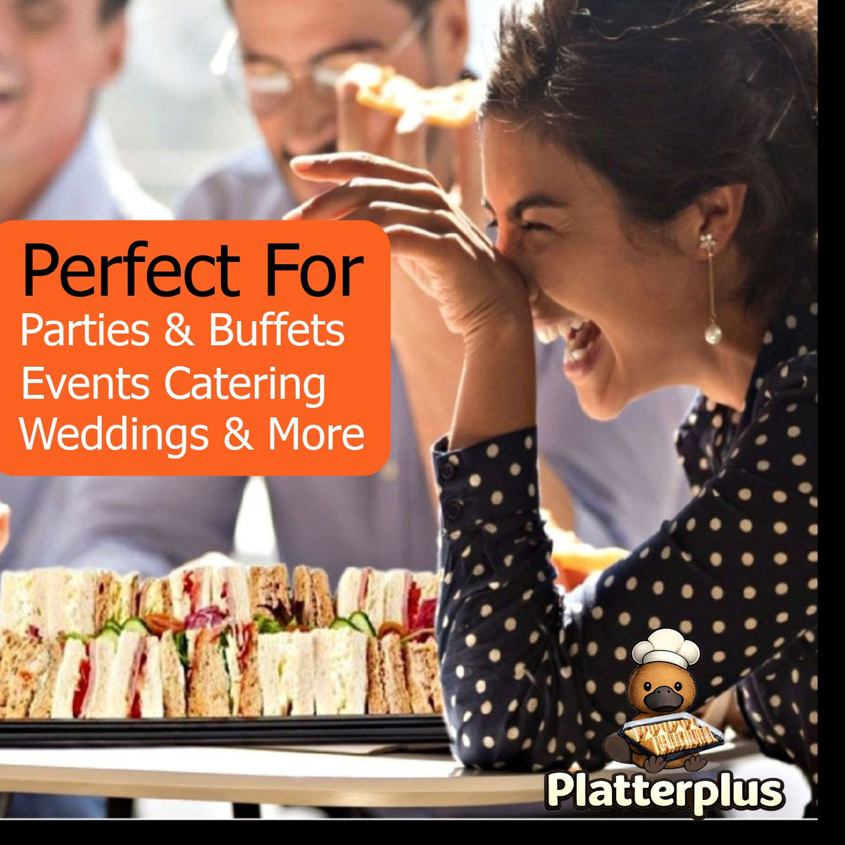 30 x Platterplus Combi Sandwich Platters with Lids (10 Large,10 Medium,10 Small)